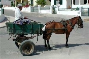 Questão IMT: O veículo de tracção animal é considerado um automóvel, se tiver quatro rodas?